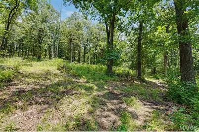 1410 Saint Paul Road, Ballwin, MO 63021 - Photo 7