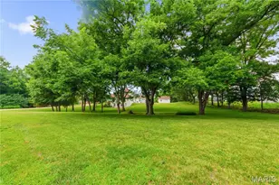 107 St Marys Ln, Old Monroe, MO 63369 - Photo 61