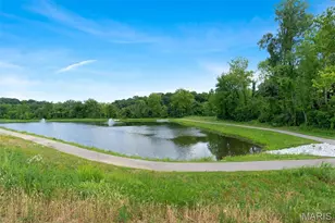 310 Rose Branchlet Ct, Wentzville, MO 63385 - Photo 45