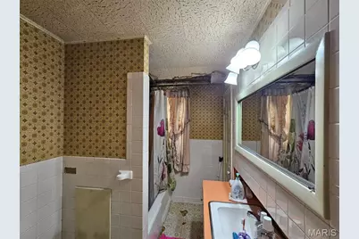 401 Jackson Street, Louisiana, MO 63353 - Photo 15