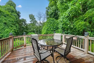 234 Romaine Spring View, Saint Louis, MO 63026 - Photo 19