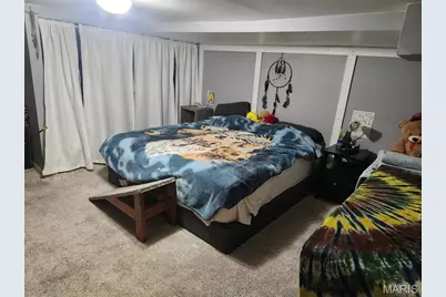 776 Zeiss Avenue, Saint Louis, MO 63125 - Photo 23