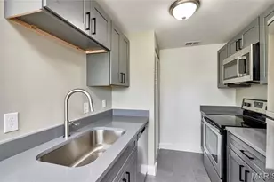 308 Clara Ave, Saint Louis, MO 63112 - Photo 45