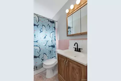 9968 Doerste Court, Saint Louis, MO 63123 - Photo 21