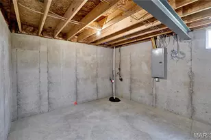 133 Day Lily Ln, Wentzville, MO 63385 - Photo 29