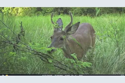 0 Dodson, De Soto, MO 63020 - Photo 5