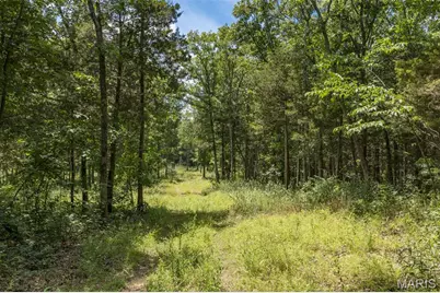 0 Dodson, De Soto, MO 63020 - Photo 3