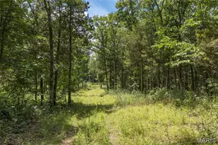 0 Dodson, De Soto, MO 63020 - Photo 3