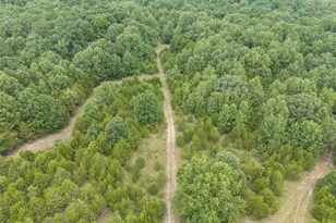 0 Dodson, De Soto, MO 63020 - Photo 41