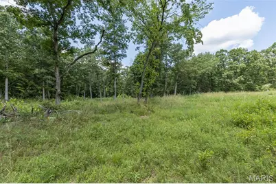 0 Dodson, De Soto, MO 63020 - Photo 21