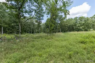 0 Dodson, De Soto, MO 63020 - Photo 21