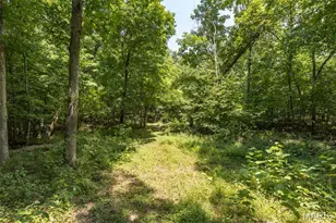 0 Dodson, De Soto, MO 63020 - Photo 15