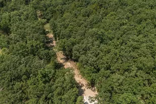 0 Dodson, De Soto, MO 63020 - Photo 57