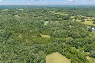0 Dodson, De Soto, MO 63020 - Photo 9