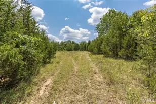 0 Dodson, De Soto, MO 63020 - Photo 23