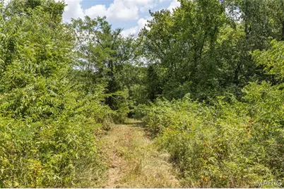 0 Dodson, De Soto, MO 63020 - Photo 17