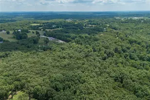 0 Dodson, De Soto, MO 63020 - Photo 55