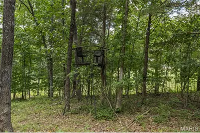 0 Dodson, De Soto, MO 63020 - Photo 25