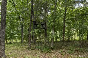 0 Dodson, De Soto, MO 63020 - Photo 25