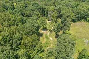 0 Dodson, De Soto, MO 63020 - Photo 59