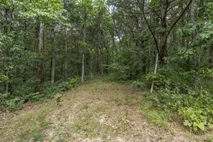0 Dodson, De Soto, MO 63020 - Photo 3