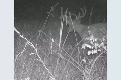 0 Dodson, De Soto, MO 63020 - Photo 7
