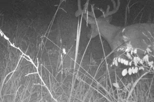 0 Dodson, De Soto, MO 63020 - Photo 7
