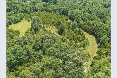 0 Dodson, De Soto, MO 63020 - Photo 17