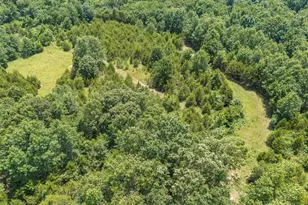 0 Dodson, De Soto, MO 63020 - Photo 17