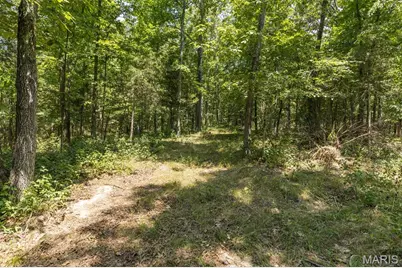0 Dodson, De Soto, MO 63020 - Photo 9