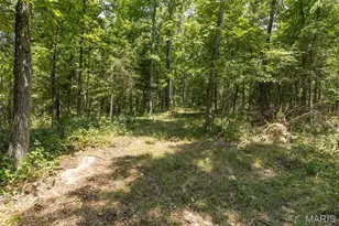 0 Dodson, De Soto, MO 63020 - Photo 9