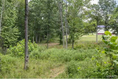0 Dodson, De Soto, MO 63020 - Photo 27