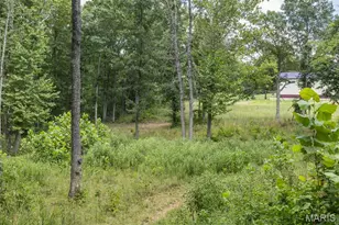 0 Dodson, De Soto, MO 63020 - Photo 27