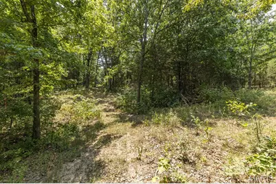 0 Dodson, De Soto, MO 63020 - Photo 19