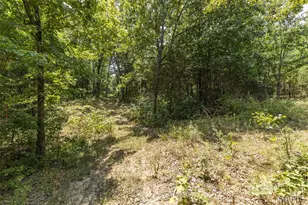 0 Dodson, De Soto, MO 63020 - Photo 19