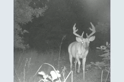 0 Dodson, De Soto, MO 63020 - Photo 5