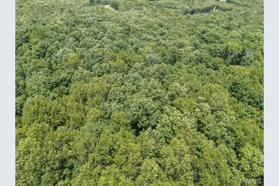 0 Dodson, De Soto, MO 63020 - Photo 19