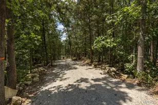 0 Dodson, De Soto, MO 63020 - Photo 29