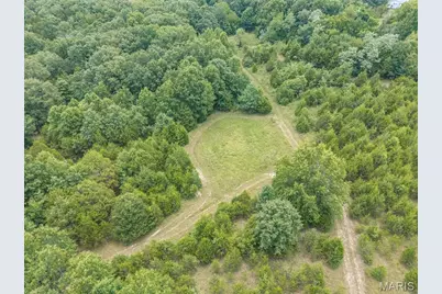 0 Dodson, De Soto, MO 63020 - Photo 45