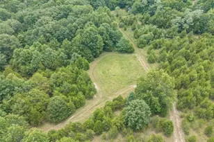 0 Dodson, De Soto, MO 63020 - Photo 45