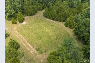0 Dodson, De Soto, MO 63020 - Photo 49