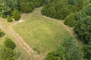 0 Dodson, De Soto, MO 63020 - Photo 49