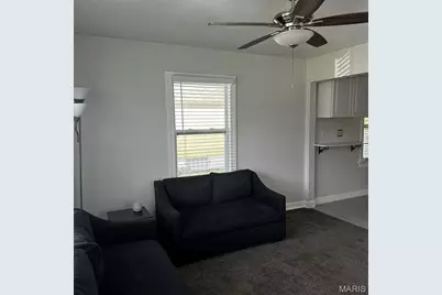 6227 Evergreen Boulevard, Saint Louis, MO 63134 - Photo 3
