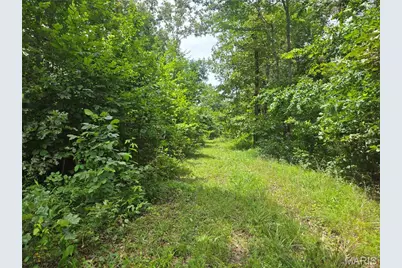 282 Ripley 142E-28A, Oxly, MO 63955 - Photo 13