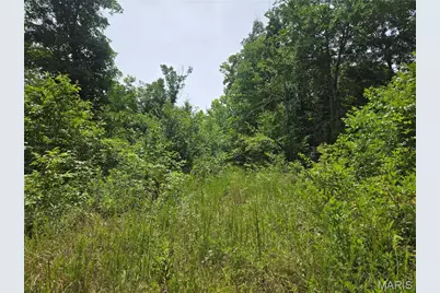 282 Ripley 142E-28A, Oxly, MO 63955 - Photo 11