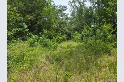 282 Ripley 142E-28A, Oxly, MO 63955 - Photo 5