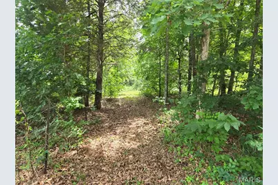 282 Ripley 142E-28A, Oxly, MO 63955 - Photo 17