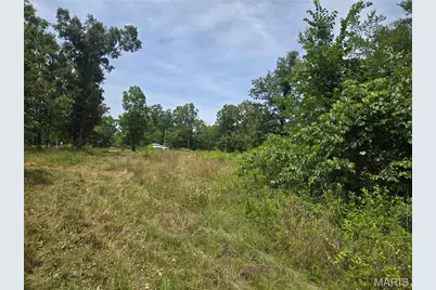 282 Ripley 142E-28A, Oxly, MO 63955 - Photo 3