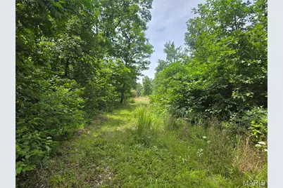 282 Ripley 142E-28A, Oxly, MO 63955 - Photo 15