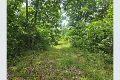 282 Ripley 142E-28A, Oxly, MO 63955 - Photo 7